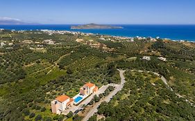 Olive Tree Hillside Apartment