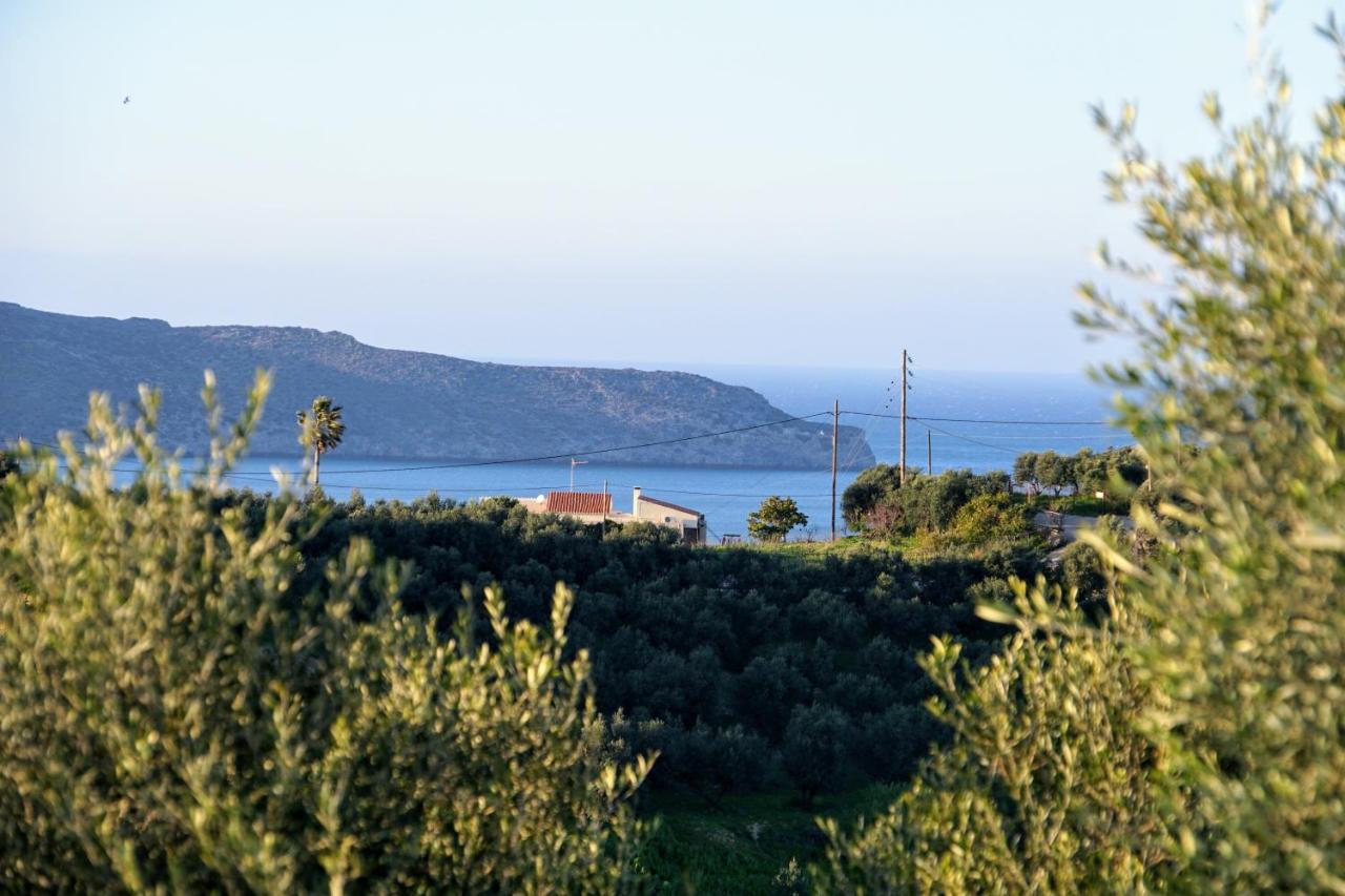 Olive Tree Hillside Apartment Stalos Exterior photo