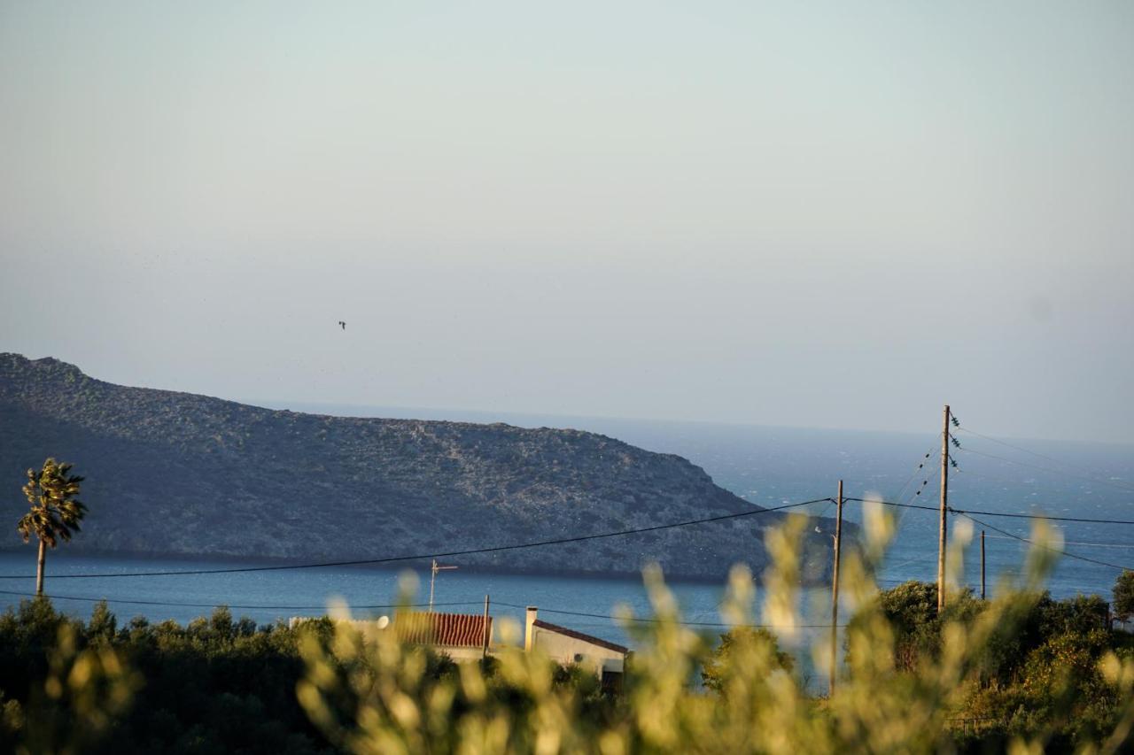 Olive Tree Hillside Apartment Stalos Exterior photo